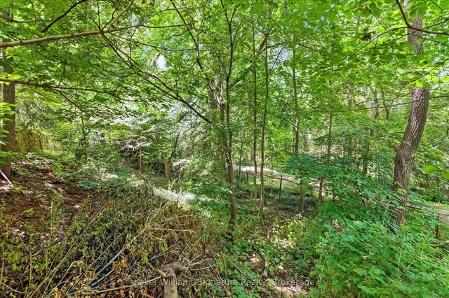 房产图片 40 - 18 Moonglow Pl