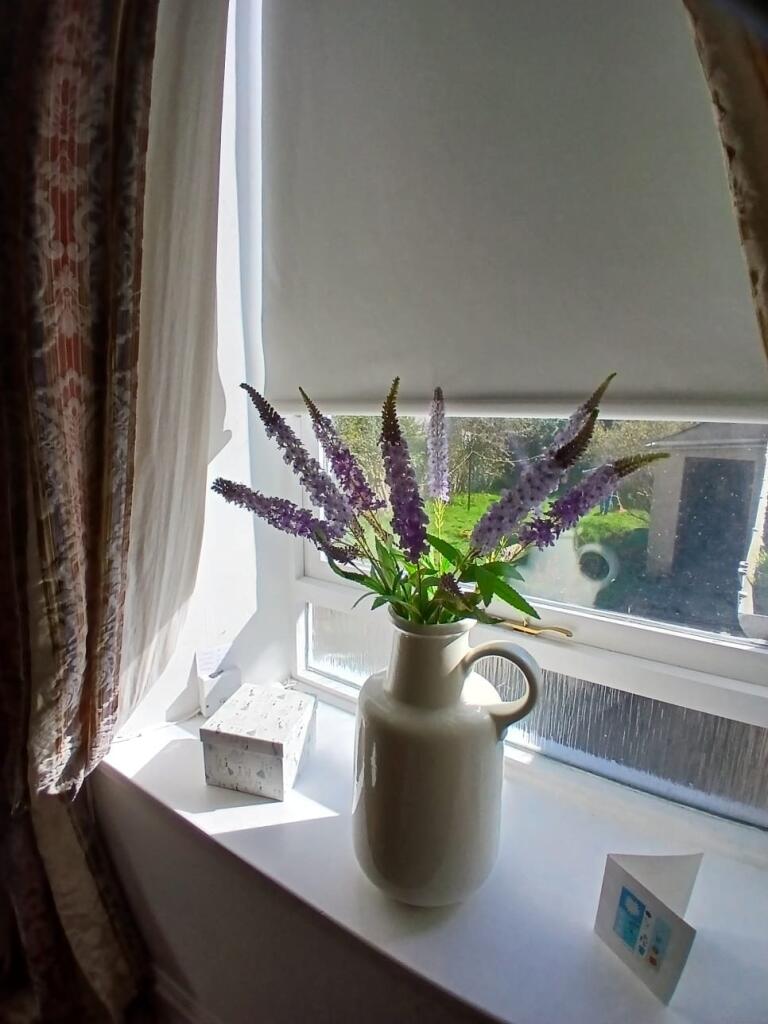 Additional image 6 of Great Western Road, Ground Floor Right, Aberdeen, Aberdeen, AB10