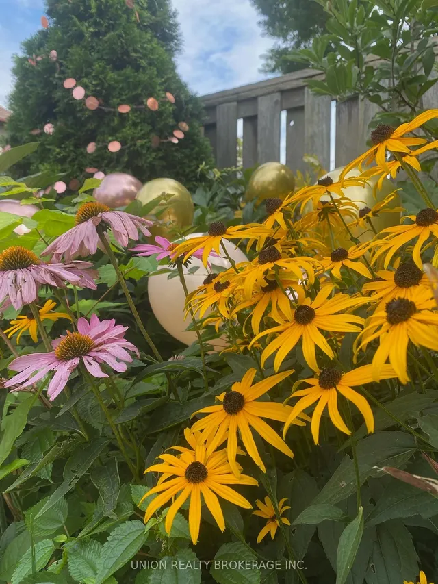 Additional image 31 of 412 Coxwell Ave