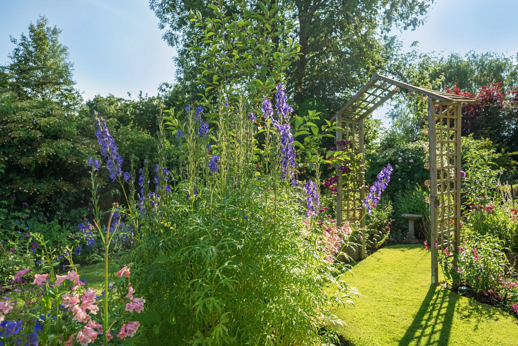 Additional image 12 of Kimpton Road, St. Albans, AL4