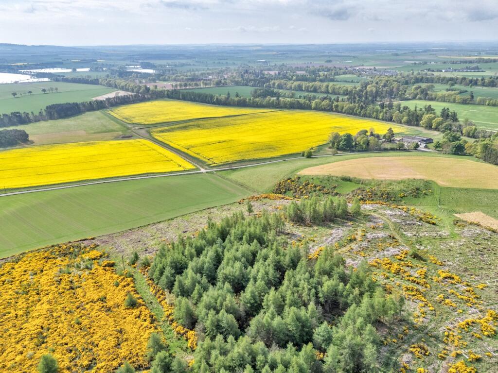 Additional image 6 of Fasque House Estate, Fettercairn, Laurencekirk, AB30