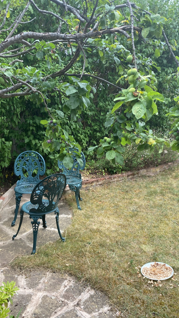 Additional image 25 of Cooks Lane, B37