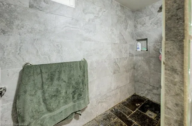 Additional image 46 of 1056 Plains View Ave