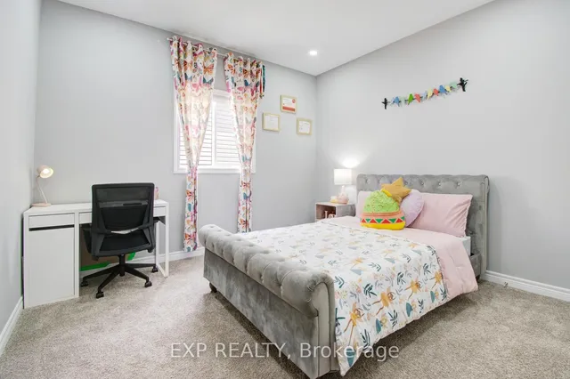 Additional image 32 of 49 Scots Pine Tr