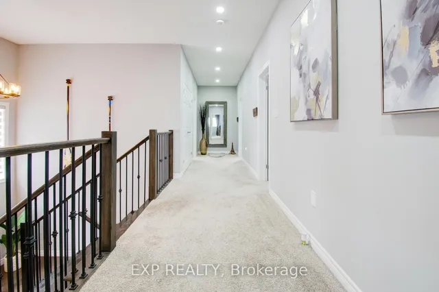 Additional image 25 of 49 Scots Pine Tr