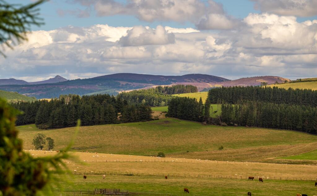 Additional image 60 of Gateside Steading, Lumphanan, Banchory, Kincardineshire