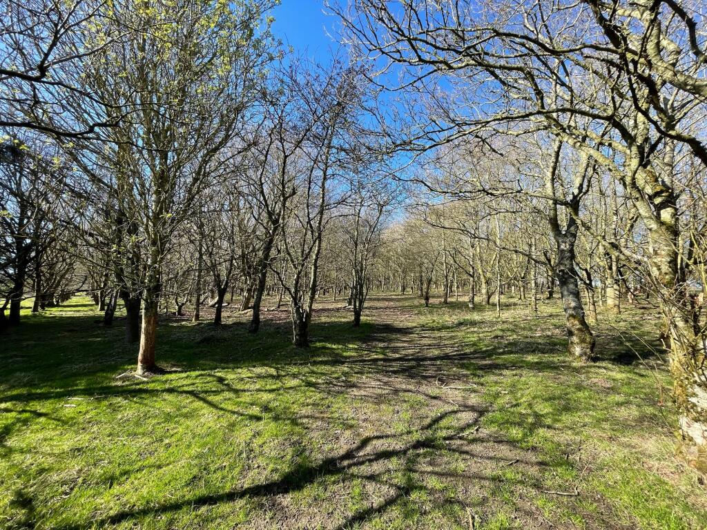 Additional image 46 of Maud, Peterhead, AB42