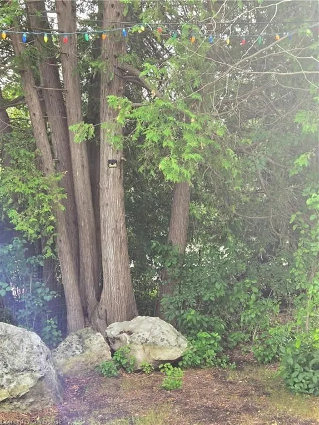 Additional image 5 of 1058 10th Concession Rd Unit 22