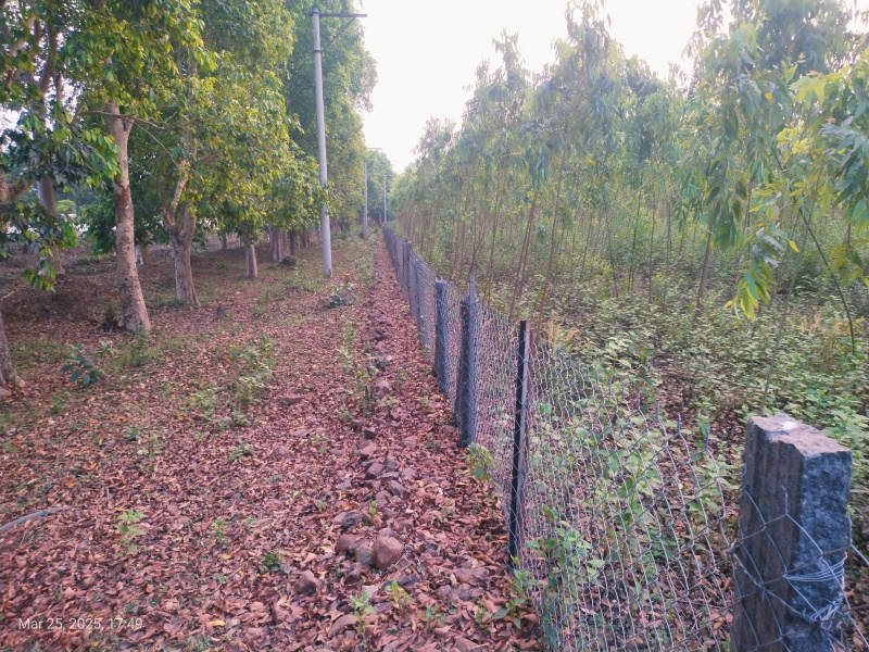 Additional image 2 of Narsipatnam, Visakhapatnam