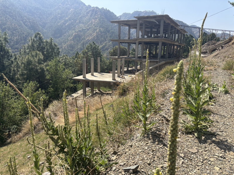 Additional image 2 of Mashobra, Shimla