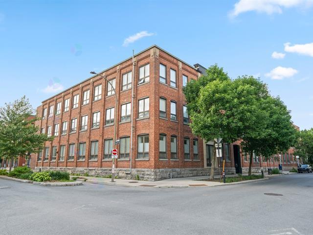 4211 Rue de Rouen|#D-117|Montréal (Mercier/Hochelaga-Maisonneuve), Quebec H1V1G7