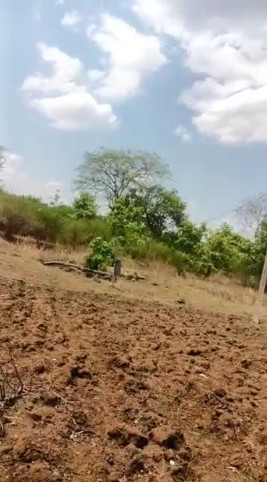 Additional image 3 of Kondhali, Nagpur