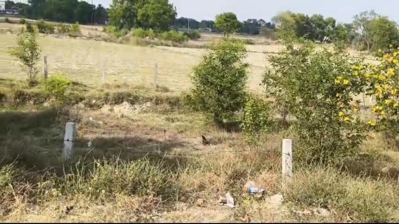 Additional image 2 of Babatpur, Varanasi