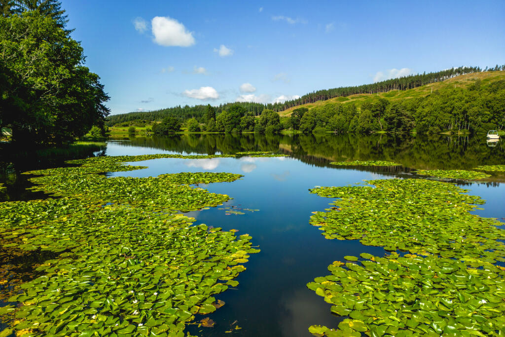 Additional image 38 of Aboyne, Aberdeenshire