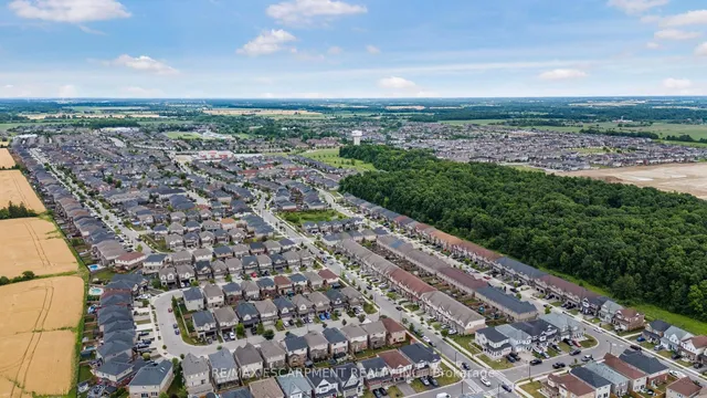 Additional image 31 of 289 PUMPKIN Pass