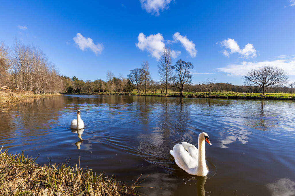 Additional image 12 of Riverview Drive, 
Dyce, 
Aberdeen, 
Aberdeen City, 
AB21 7LD