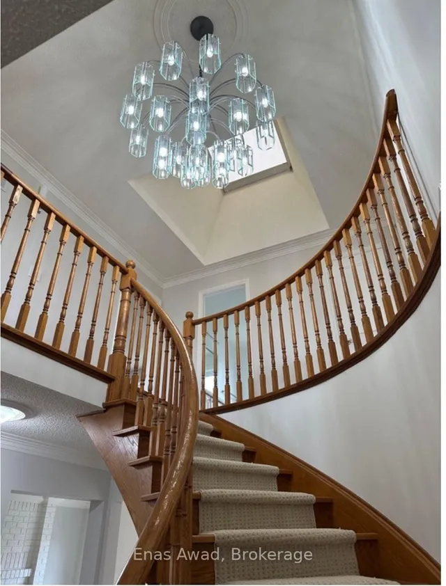 Additional image 6 of 25 Mulholland Ave