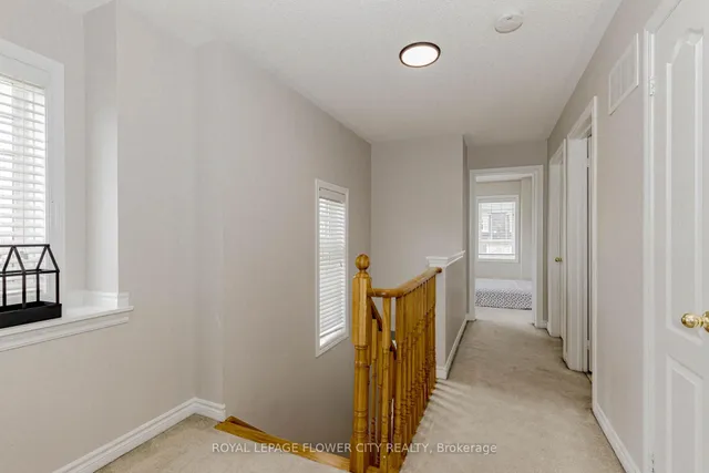 Additional image 41 of 23 NEW PINES Tr