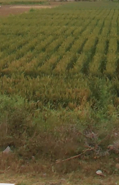 Additional image 3 of Alwar Mega Highways, Alwar