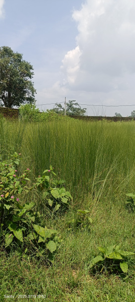 Additional image 3 of Ormanjhi, Ranchi