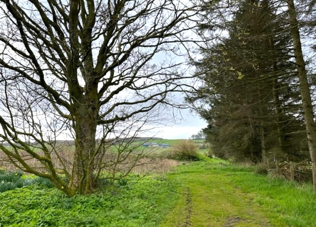 Additional image 4 of Site of former Willowbank Cottage, Auchnagatt, Ellon, Aberdeenshire
