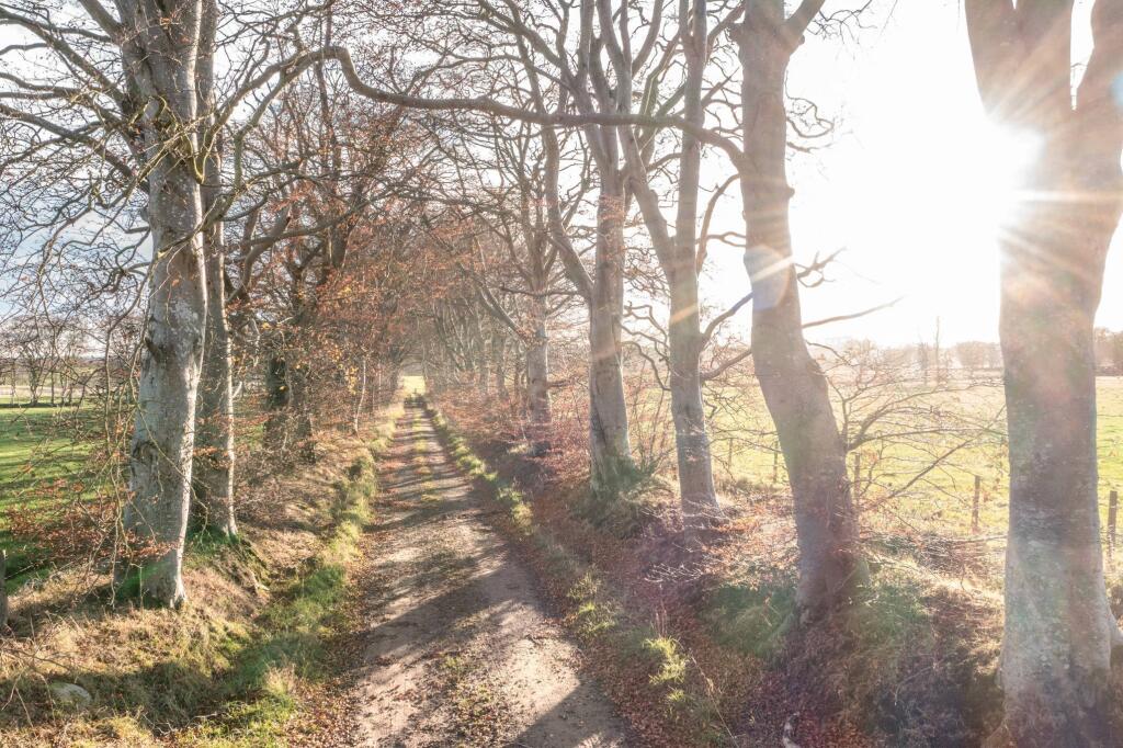 Additional image 11 of Building plots  Nether Aden, Mintlaw, AB42 5BS