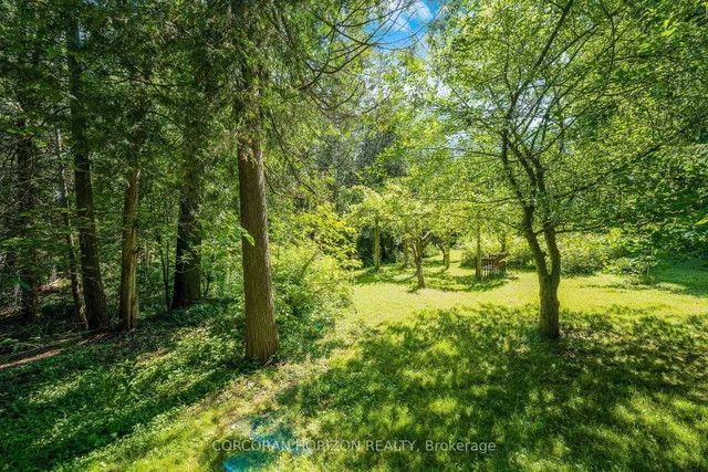 Additional image 38 of 8 Sunbridge Cres