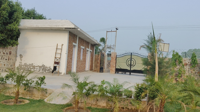 Sirohi, Faridabad