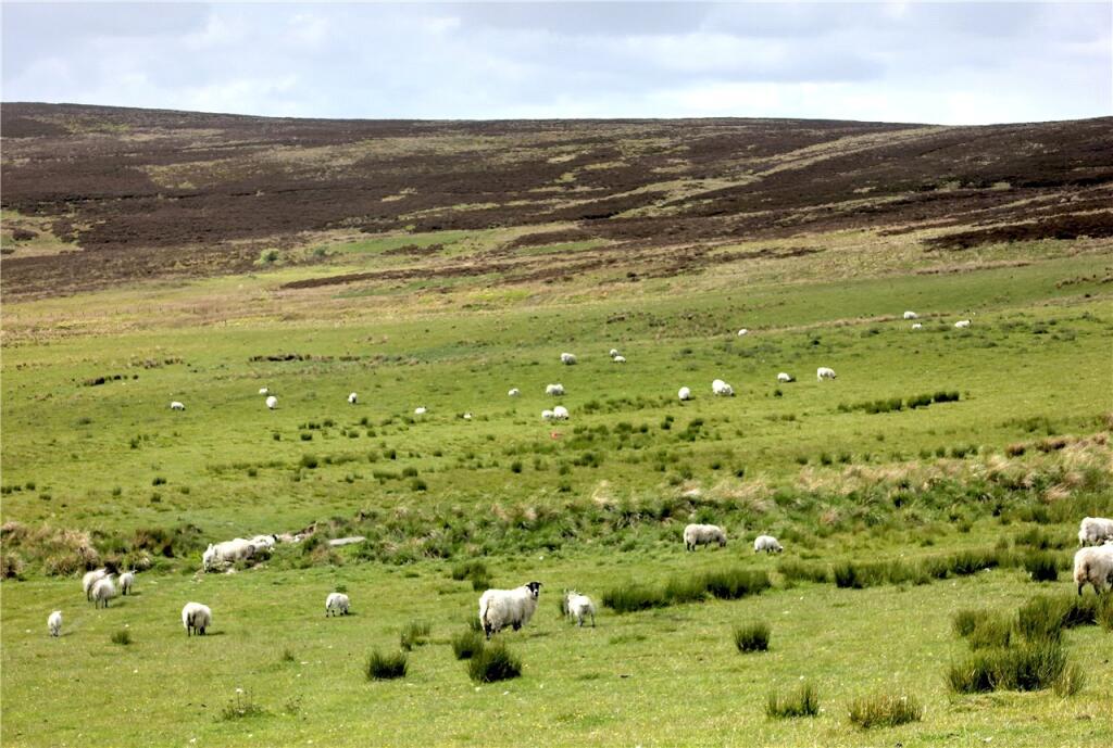 Additional image 10 of Hillhead Of Morinsh, Glenlivet, Ballindalloch, Moray, AB37