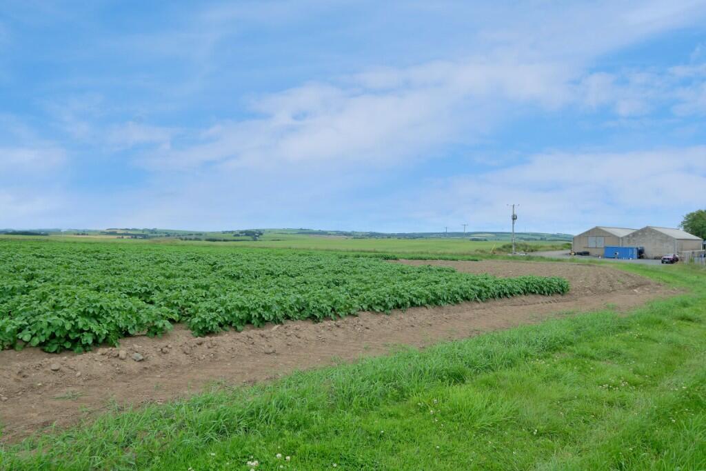 Additional image 8 of Land & Buildings at Collynie, Methlick, AB41 7EB