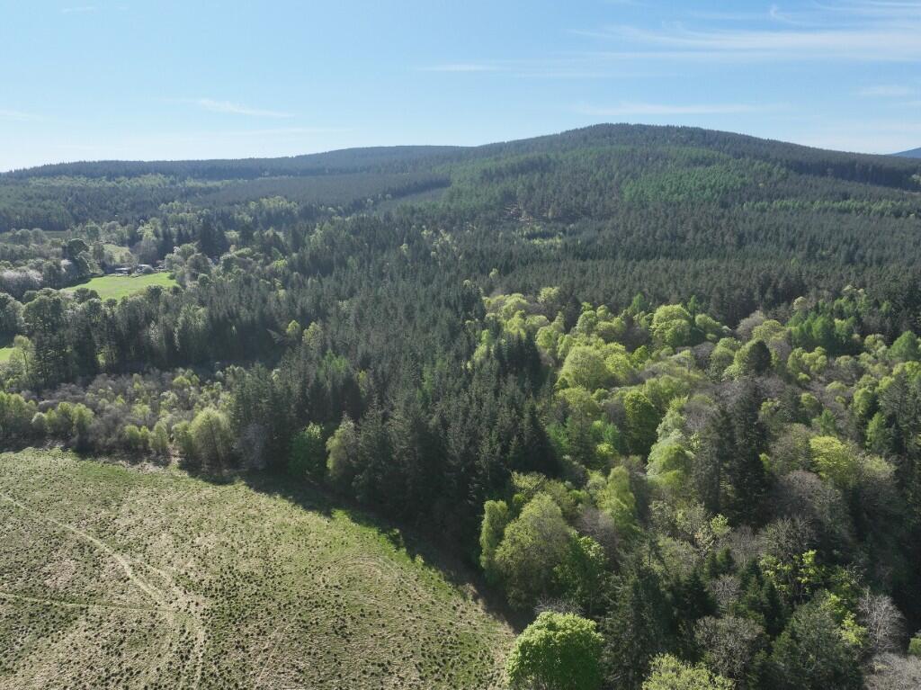 Additional image 15 of Minnonie Woodland, Falls of Feugh, AB31