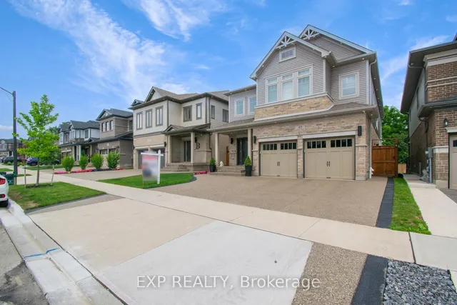 Additional image 4 of 49 Scots Pine Tr