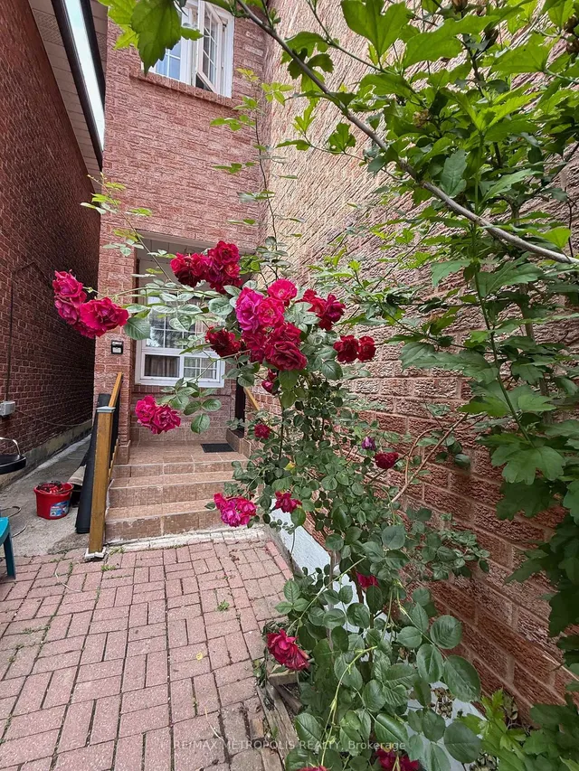 房产图片 2 - 46 Albion Ave