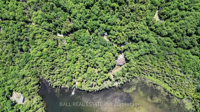 Additional image 2 of 110 Lillian Lane