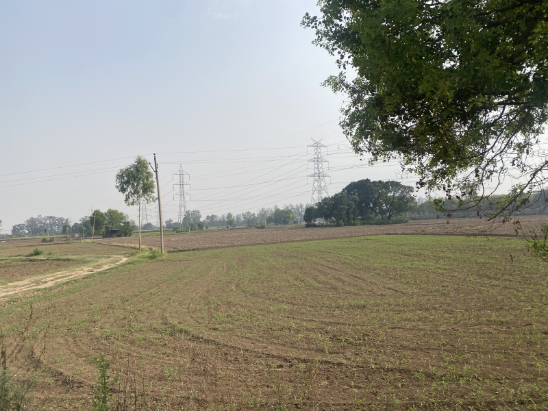 Additional image 2 of Ecocity Phase 2, New Chandigarh, Chandigarh