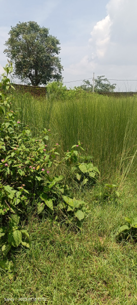 Additional image 2 of Ormanjhi, Ranchi