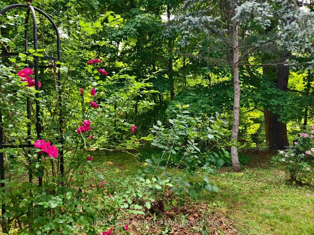 Additional image 42 of 1376 Forest Glade Rd