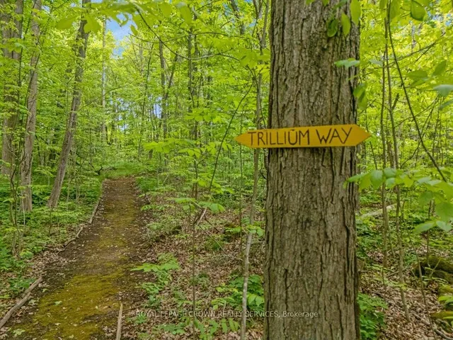 Additional image 41 of 1960 Regional Road 97