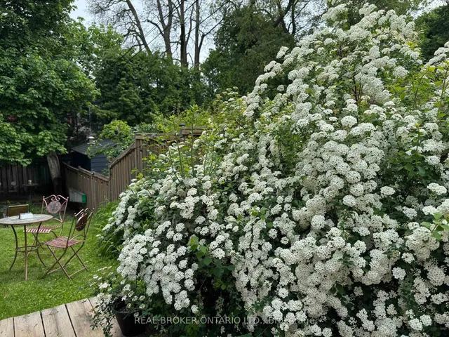 Additional image 40 of 413 Roselawn Ave