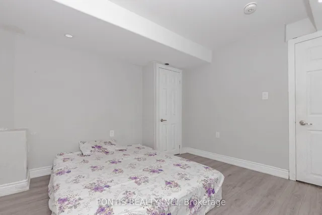 Additional image 37 of 21 ICELAND POPPY Tr