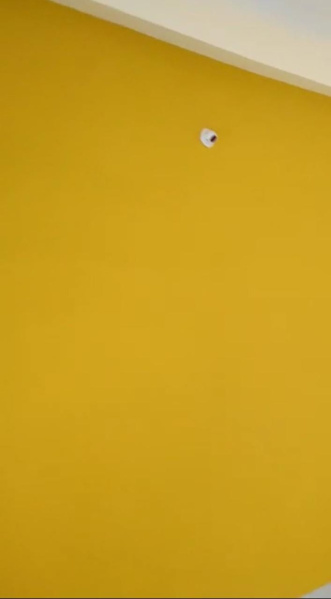 Additional image 2 of Bhawrasla, Indore