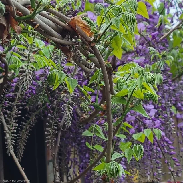 Additional image 41 of 97 Bell Ave