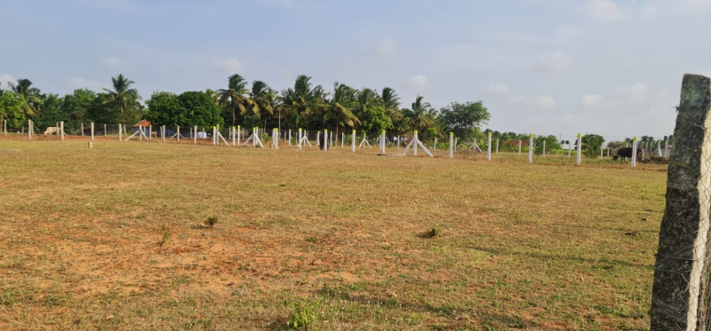 Additional image 3 of Kinathukadavu, Coimbatore