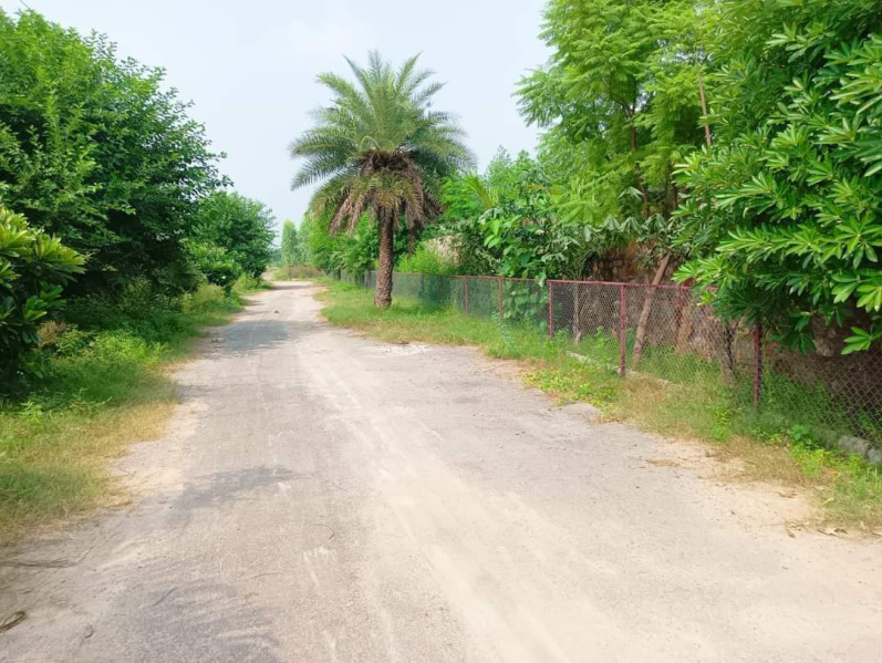 Additional image 3 of Sohna, Gurgaon