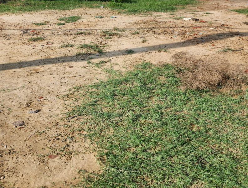 Sector 37 Rohini, Rohini, Delhi