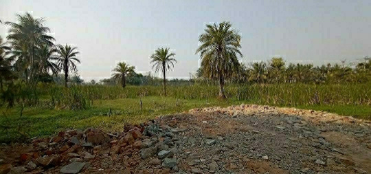 Additional image 2 of Joka, Kolkata