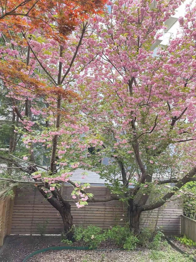 Additional image 2 of 108 Banff Rd