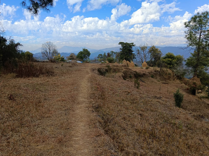Kaladhungi, Nainital