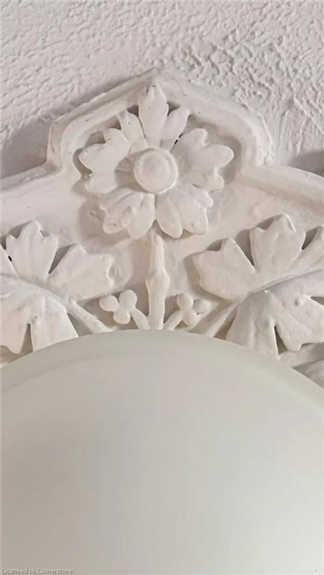 Additional image 30 of 251 West Ave