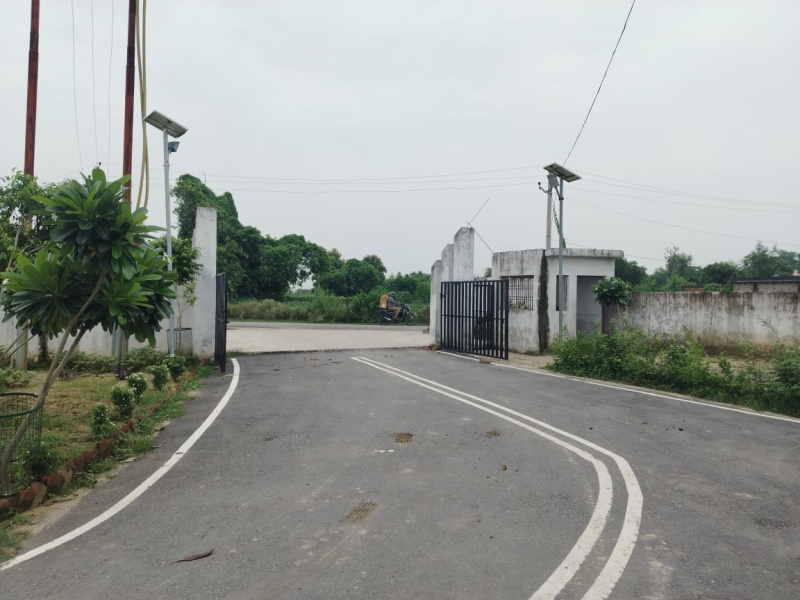 Raibareli Road, Lucknow